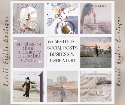 65 Aesthetic Social Posts with Master Resell Rights - Business & Inspirational Content